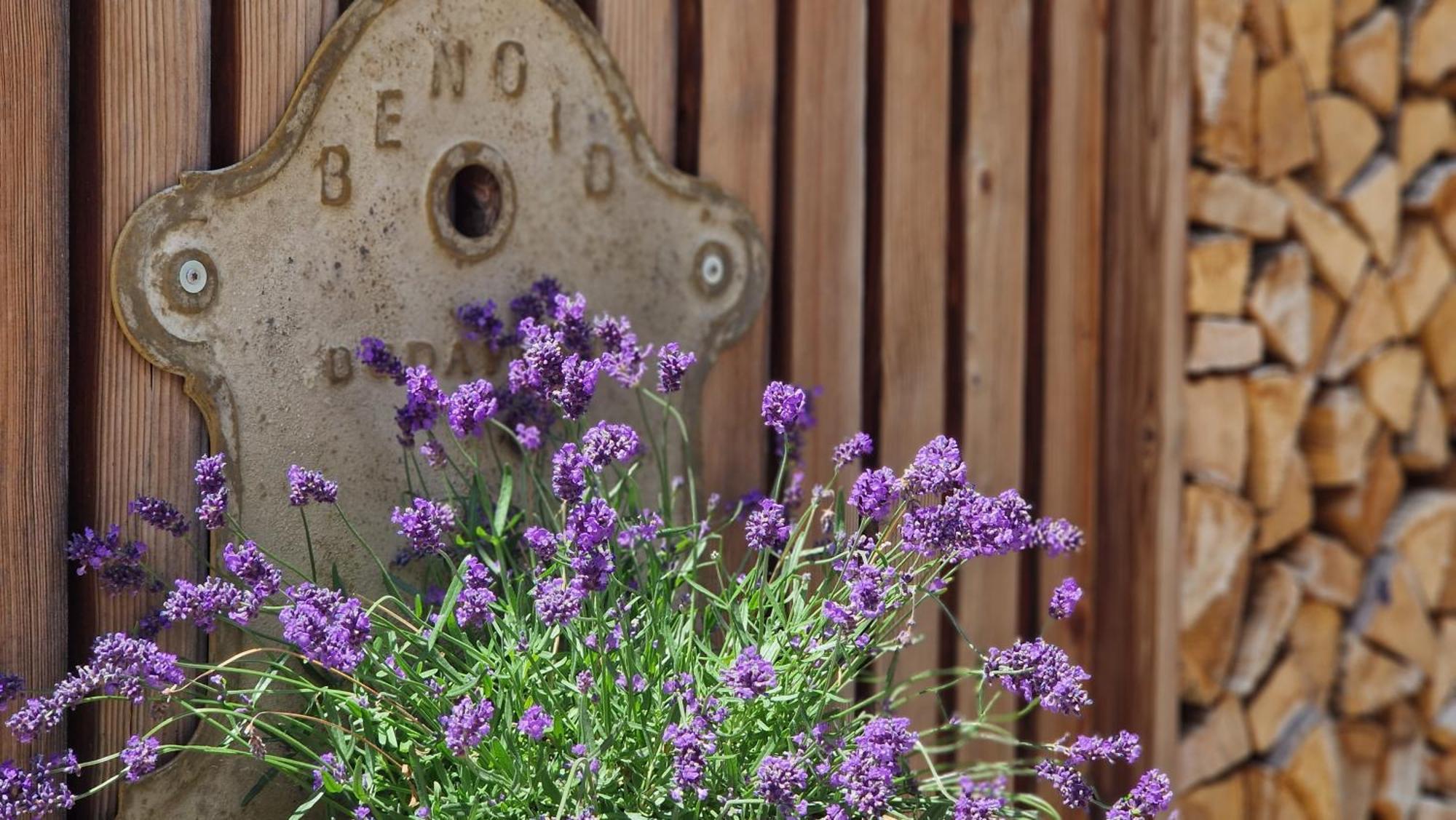 Nostalgie Bed & Breakfast Chraemerhus Curaglia Εξωτερικό φωτογραφία